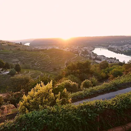 Les Terrasses De Condrieu
